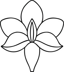 Vector art of stylized outline drawing of a blooming flower with five petals