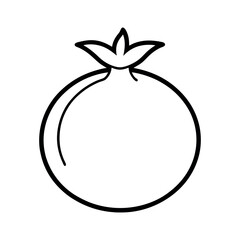 Pomegranate Outline Line Art Vector