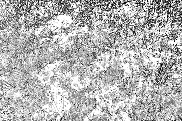 High Contrast Black and White Abstract Grunge Texture
