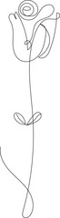 Elegant single line drawing of a rose with a long stem and leaves on a white background