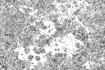 High Contrast Black and White Abstract Grunge Texture