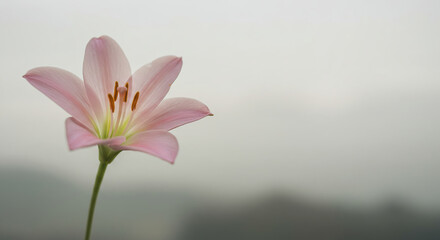 Naklejka premium Blue pie slice with whipped cream on top in minimalist style 