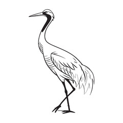 whooping-crane-vector-