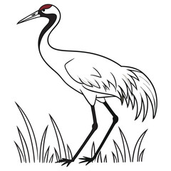 whooping-crane-vector-