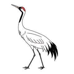 whooping-crane-vector-