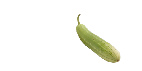 Fresh green cucumber isolated on transparent background for healthy eating and nutrition visuals
