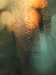 Reflections and patterns created by moisture on glass with warm sunlight shining through in the background during late afternoon