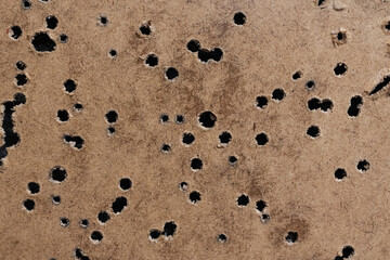 Abstract background or texture of a fiberboard surface completely riddled with multiple bullet holes from gunfire or target practice.
