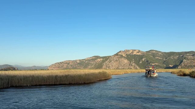 A boat tour among the reeds on the Dalyan River. Ortaca, Muğla