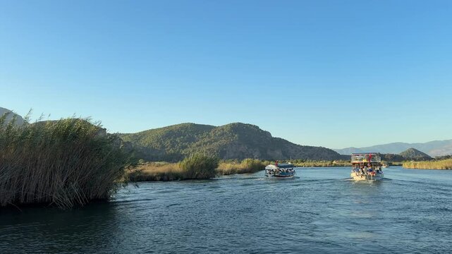 A boat tour among the reeds on the Dalyan River. Ortaca, Muğla