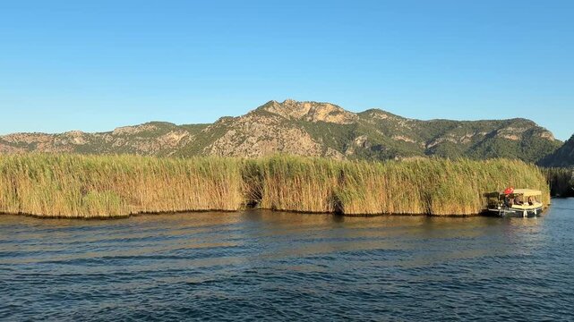 A boat tour among the reeds on the Dalyan River. Ortaca, Muğla