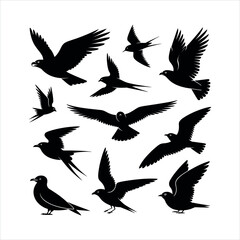Collection of black bird silhouettes isolated on white background