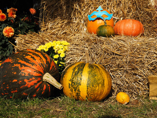Horizontal Autumn Pumpkins Display — Pumpkins in Front of and on Top of Hay Bale, flowers around