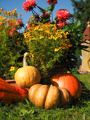 Vertical Layered Autumn Composition — Pumpkins and Colorful Flowers in Three Tiers