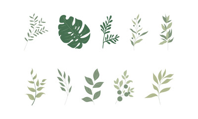 Aesthetic Green Leaf Illustration