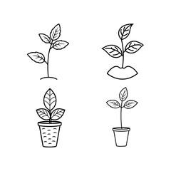 mint plant seed to bloom bundle vector illustration