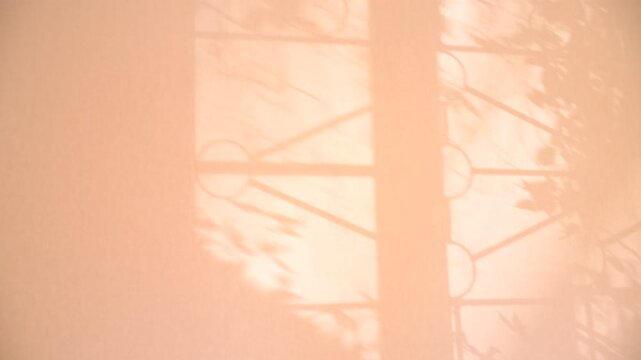 Shadow of big arched window. Window and sunlight, moving shadows on pink coral background with casting floral shadows. Minimal vintage interior decoration. Autumn style aesthetics
