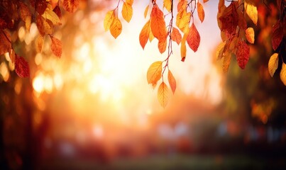 Golden autumn leaves frame a sunlit scene, creating a warm, blurred backdrop of nature