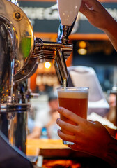 taking beer tap beer hand tap handle in bar