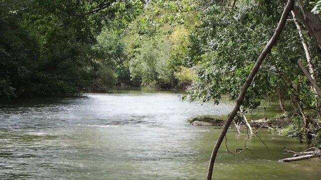 Scenic spring Arga river landscape sorrounded by the greenery of a European mixed forest on its way across Pamplona in Navarra
