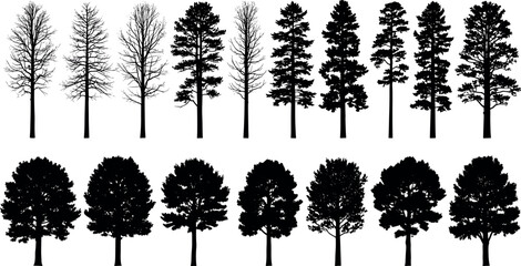 Silhouette comparison of leafless and leafy trees in seasonal transition, showcasing diverse species and foliage shapes for nature design use