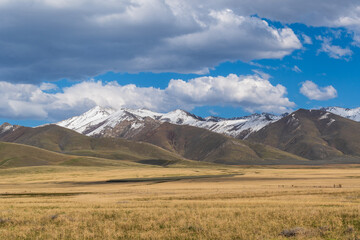 Fototapeta premium Nevada Desert Scrubland with Snow-Capped Mountains and Partly Cloudy Spring Sky
