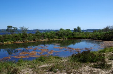 Lake in the Monts d'Arree in Brittany in France, Europe