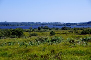 Lake in the Monts d'Arree in Brittany in France, Europe