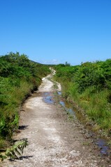 Trail in the Monts d'Arree in Brittany in France, Europe