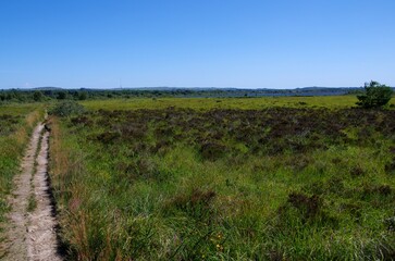Trail in the Monts d'Arree in Brittany in France, Europe