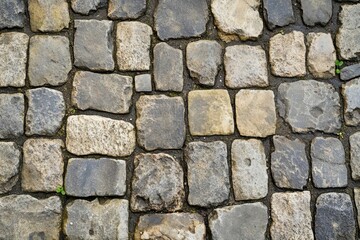 Fototapeta premium Cobblestone Pathway Texture with Green Moss and Dark Grout Lines, Classic Stone Pavement Design for Outdoor Spaces