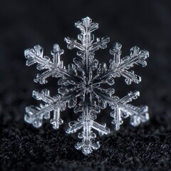 Snowflake macro against a black velvet field, symmetrical crystalline structure, scientific clarity yet artistic abstraction, crisp rim lighting, poster-ready 