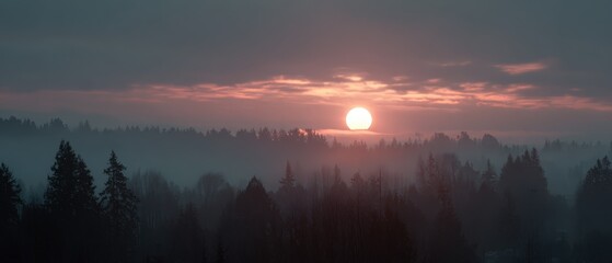Winter solstice sunrise, subtle sun pillar over forest, atmospheric haze, cinematic width, no people 