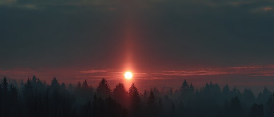 Winter solstice sunrise, subtle sun pillar over forest, atmospheric haze, cinematic width, no people