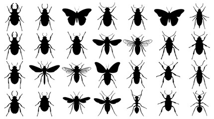 Insect silhouettes vector set. Beetles, Butterflies, Bugs, Mosquito, Bee, Ant and More