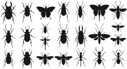 Insect silhouettes vector set. Beetles, Butterflies, Bugs, Mosquito, Bee, Ant and More