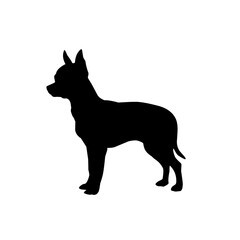 Silhouette vector illustration of a small dog resembling Chihuahua breed, standing alert with upright ears, perfect for pet, logo, and design projects