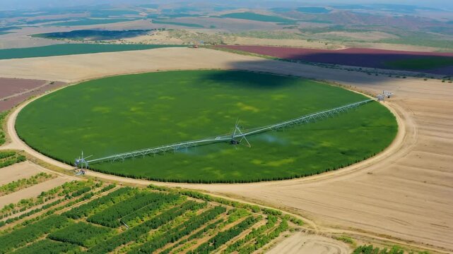 Expansive - Overhead view of a circular crop irrigation system - Agricultural patterns