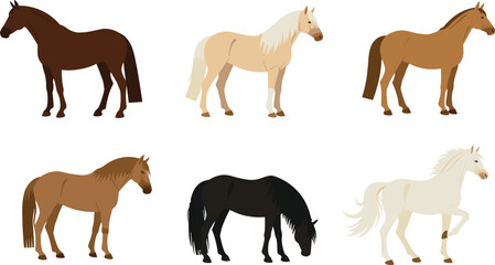 Set of vector horses illustration, different horse breeds in standing and grazing poses, equestrian clipart artwork, domestic farm animals, wildlife stock design