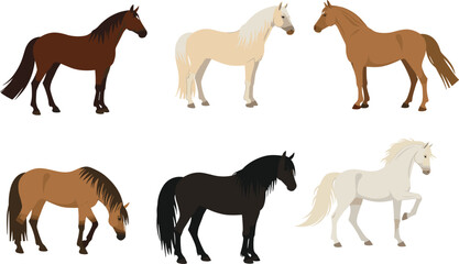 Collection of vector horses illustration, different horse breeds in various poses, colorful equestrian clipart, farm animals, domestic animals, wildlife art, stock design