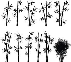 Bamboo plant silhouette vector illustration with tall stems, leafy branches, natural bamboo design for decoration, Asian style artwork, wallpaper, pattern, and botanical concept