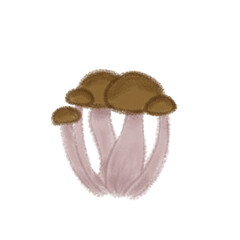 Cluster of Mushrooms with Long Stems Illustration – Forest Fungi Group Vector for Botanical Nature Design and Organic Art