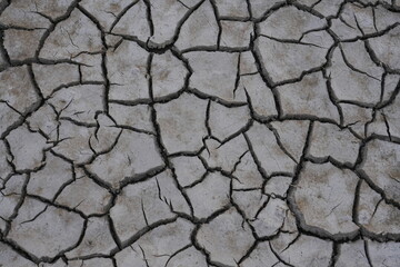 The dry and cracked soil cracked open