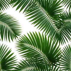 Vivid green palm leaves on a black background