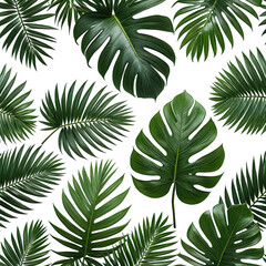 Lush green tropical leaves on a black background