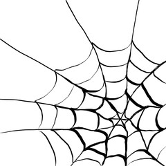 Spider Web Forming