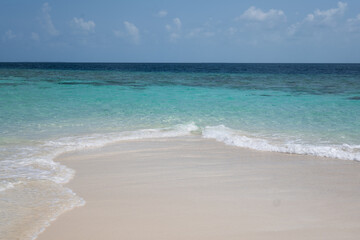 Tropical beach with curved wave on sandy shore