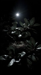 A nighttime scene; a bird's nest with eggs, nestled within leafy branches, lit by the moon