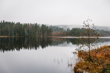 Wide Landscape of a Northern Lake with Perfect Water Reflection and a Misty Forest Horizon during Fall in Sweden 