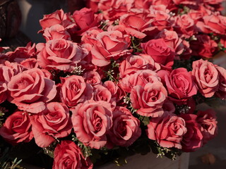 A bouquet of vibrant pink roses in bloom, showcasing their natural elegance and charm